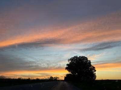 A wide-angle, full shot captures a rural sunset scene from the perspective of a moving vehicle on a paved road. The sky is filled with vibrant sunset colors, transitioning from a deep blue at the top to streaks of orange, peach, and yellow closer to the horizon. Wispy clouds are scattered across the sky, catching the light and adding texture. In the foreground, the dark asphalt road curves slightly to the right. Silhouetted against the sky on the right side of the frame is a large, leafy tree. In the distance, a low, dark horizon line is marked by the faint shapes of trees and vegetation. The image appears to be taken in Zvegor, Bulgaria, as indicated by its location.