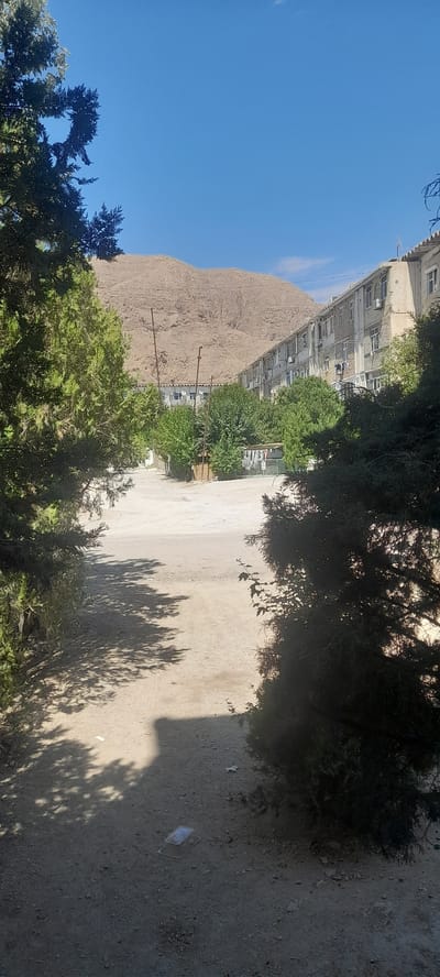 The image captures a scene in Balkanabat, Turkmenistan, depicting a dirt road leading towards a row of apartment buildings. The foreground is framed by lush green coniferous trees, casting dappled shadows on the dusty ground. Beyond the trees, the road opens up to a wide, unpaved area. In the middle ground, several tall, slender poles stand vertically, possibly for utility lines or as part of a clothesline system. Further back, the apartment buildings, constructed with light-colored materials, stretch horizontally across the frame. These buildings appear to be multi-story with numerous windows and balconies. Some laundry is visible hanging on clotheslines outside some of the apartments. In the background, a large, arid mountain dominates the horizon, its slopes textured and barren under a clear blue sky. The overall impression is one of a residential area situated in a dry, mountainous environment. There are no people visible in the image.