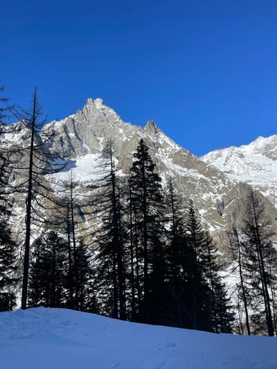 A breathtaking winter mountain landscape in Courmayeur, Italy, is captured under a vivid blue sky. The image, when viewed upright, showcases a clear, expansive deep blue sky across its upper portion, indicating a bright, sunny day.

Dominating the mid-ground are rugged, snow-dusted mountains that stretch across the width of the frame. Their steep, rocky faces are interspersed with patches of brilliant white snow, creating a stark contrast with the gray and brown tones of the exposed rock. Some peaks are entirely snow-capped, while lower slopes reveal the mountain's underlying geology.

A dense forest of tall, dark evergreen trees, likely firs or pines, occupies the foreground and mid-ground, extending from the lower left towards the upper right, partially silhouetted against the sunlit mountains and sky. These trees create strong, dark vertical and diagonal elements, adding depth to the scene. Several smaller, bare-branched trees are also visible near the base of the mountains.

In the bottom right corner, a pristine expanse of smooth, white snow covers the ground, with subtle textures suggesting gentle undulations or faint tracks. The overall impression is one of majestic natural beauty and winter serenity. The bright lighting suggests it is mid-day, and the weather is clear and crisp. No people or visible text are present in the image.