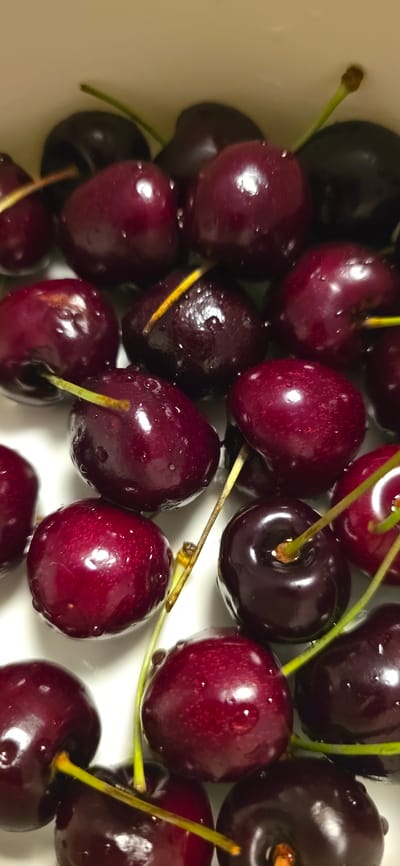 The image displays a close-up, overhead view of a collection of ripe cherries, glistening with water droplets, arranged on a white surface. The cherries vary in color from deep red to almost black, with some exhibiting a bright red hue. Green stems are visible, connecting some of the cherries. The lighting creates highlights on the wet surfaces of the fruit. No specific location in Bad Fallingbostel, Germany is depicted; the scene is a general still life of cherries.