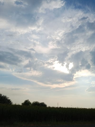 This is a landscape photograph taken in Bazar-Korgon, Kyrgyzstan, likely during the late afternoon or early evening due to the soft, diffused light. The scene is dominated by a dramatic sky filled with a mix of dark and light gray clouds. Patches of blue sky are visible in some areas, and a bright area suggests the sun is partially obscured by the clouds, creating a luminous effect.

In the foreground, a dense line of dark green vegetation, possibly a field of crops or tall grass, stretches across the entire width of the image. The vegetation is silhouetted against the lighter sky, making its details difficult to discern. Above the vegetation, the horizon is marked by a few scattered trees and what appears to be a utility pole. The overall atmosphere is serene and perhaps a little moody, with the interplay of light and shadow creating a visually interesting composition. There is no visible text in the image.
