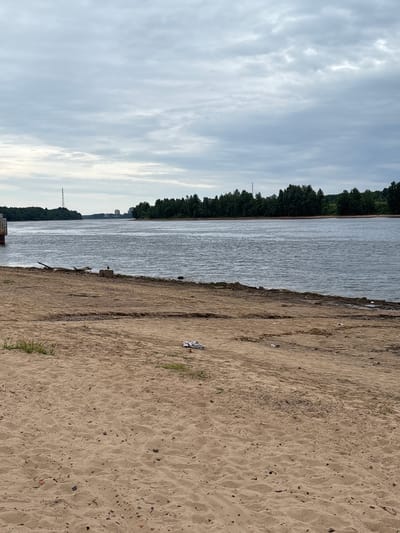 The image shows a sandy beach on the shore of the Neva River in Nevskaya Dubrovka, Russia. The sky is overcast with gray clouds. A wide river stretches across the middle of the frame, with a dense line of green trees on the far bank. In the distance, there are some buildings and a tall transmission tower. The foreground is dominated by a sandy beach with some debris scattered on it, including a piece of white fabric in the lower right corner. A bird is perched on a concrete block near the water's edge. The scene appears quiet and somewhat desolate.