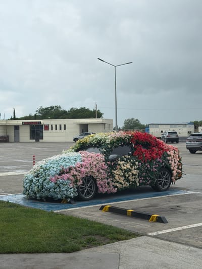 The image depicts an art installation of a car completely covered in flowers, parked in an outdoor lot. The car is a sedan, likely a modern model, with its entire exterior, including wheels and windows, obscured by a dense arrangement of artificial flowers in various pastel and vibrant colors such as pink, blue, white, and red. The flowers are arranged in sections, with the front of the car featuring predominantly blue and pink hues, transitioning to white and then to red and peach tones towards the rear.
In the background, a low, modern building with a prominent "EXCHANGE" sign is visible, suggesting a commercial or service area. The building has a light-colored facade with dark-framed windows and doors. Further in the background, other vehicles, including SUVs, are parked, indicating a public parking space. The environment appears to be overcast, with a grey sky. The ground is paved, with visible parking lines, grass patches, and concrete barriers.
The location is identified as the city of Siktarva, Georgia. The scene appears to be a public space, possibly a parking lot adjacent to commercial establishments. There are no people visible in the image. The installation itself is the central subject, presented in a static, photographic manner. The lighting is diffused due to the overcast conditions. The overall impression is one of a whimsical and artistic display integrated into a typical urban or semi-urban environment.