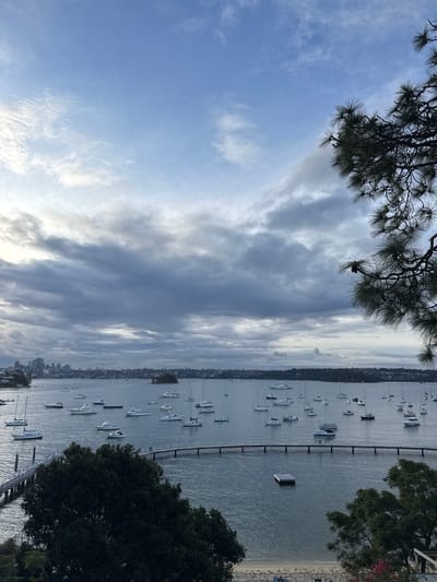 This image depicts a panoramic view of a harbor filled with numerous boats, likely sailboats and motor yachts, moored in the water. In the distance, a city skyline is visible, characterized by tall buildings, indicating an urban environment. The sky is overcast with dramatic clouds, suggesting a moody or potentially inclement weather. In the foreground, lush green trees partially frame the scene. The water is calm, reflecting the soft, diffused light. A pier or jetty extends into the water from the left side of the image. The overall scene conveys a sense of a coastal city harbor with a mix of natural and man-made elements. It is a view of Sydney Harbour, with Potts Point likely being the vantage point for this photograph, given its elevated position overlooking the harbor and its proximity to the central business district.