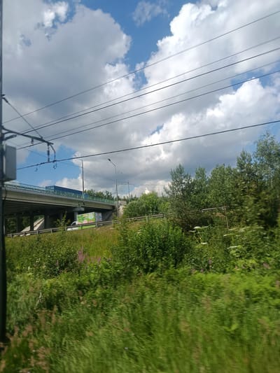 A long shot captures a multi-lane overpass against a backdrop of a cloudy sky and dense green trees. A blue truck is visible on the overpass, along with a white truck with a green advertisement on its side, driving on the road beneath. The foreground is dominated by a blurred field of lush green grass and vegetation. Overhead, multiple dark power lines stretch across the frame, creating a stark contrast with the bright sky. The scene appears to be in a natural setting, possibly the outskirts of a city, with the "Природа Снт, Russia" designation indicating a dacha settlement or a natural area within Russia.