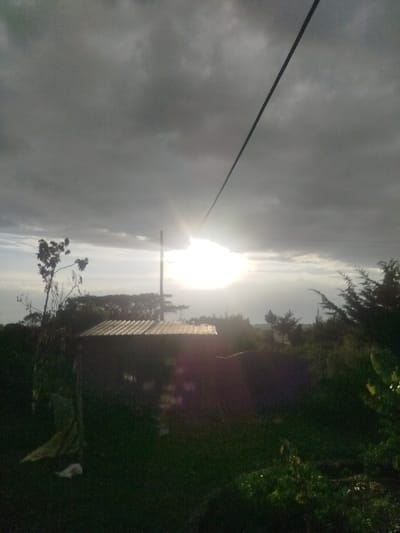 The image displays an outdoor scene in Naivasha East ward, Kenya, characterized by an overcast sky and direct sunlight. Dark grey clouds dominate the upper sky, while the sun appears as an intense, brilliant white light source breaking through a lighter, hazy band of clouds along the horizon, producing significant glare and lens flare.
In the midground, a darkened structure with a corrugated metal roof is visible to the left of the sun, largely in silhouette. A wooden utility pole stands vertically to the right of the sun. A single dark cable extends diagonally from the upper-center towards the bottom-right of the frame, passing directly through the sun's glare. Dense green vegetation, including various trees and shrubs, occupies the foreground and midground, with taller trees on the left and conifer-like foliage on the right. Distant landforms or hills are faintly discernible in the far background beneath the lighter sky. No individuals are present in the scene. The lighting conditions suggest either sunrise or sunset.
