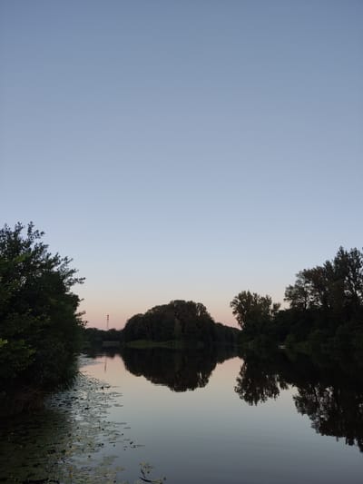 This is a vertical, medium shot photograph taken from the bank of a body of water, likely the Elbe River in Kolín, Czechia, during either sunrise or sunset. The sky is a clear, pale blue, transitioning to a soft pink hue near the horizon. On the left, dense green foliage of trees overhangs the water, with lily pads and a few yellow flowers floating on the surface. The body of water is calm and reflects the trees and the sky, creating a mirror image. Across the water, a line of trees forms a dark silhouette against the sky. In the distance, a tall, slender industrial tower with red and white banding is visible, rising above the treeline. The overall atmosphere is serene and tranquil. There are no people or animals visible in the frame.