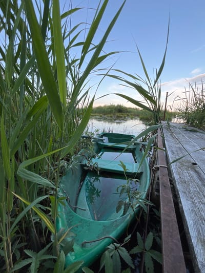 The image depicts a green rowboat partially submerged and filled with water, nestled amongst tall green reeds. To the right, a weathered wooden pier extends into the water. The scene is set on a calm body of water, reflecting the sky and surrounding vegetation, under a pale blue sky with wisps of clouds. The overall impression is one of a quiet, natural setting, possibly at dusk or dawn. The location is specified as the city of Nagorny, Russia. There are no people or animals visible in the image.