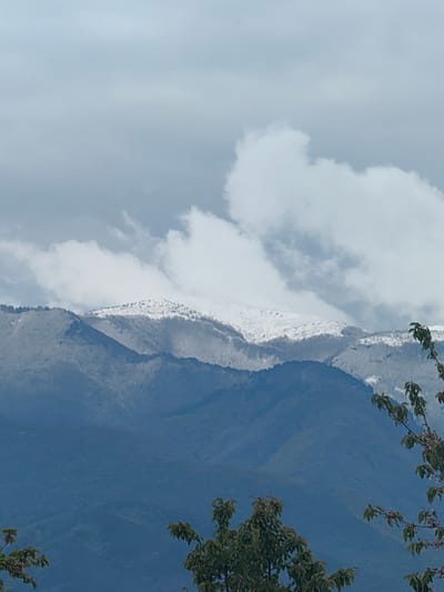The image presents a serene mountain landscape under a predominantly cloudy sky. The upper portion of the frame is filled with a soft, overcast sky, featuring a mix of light grey cloud cover and some brighter, billowy white clouds, especially towards the right.
Below the sky, multiple layers of mountains stretch across the horizon. The highest and most distant mountain range, positioned centrally, is strikingly covered in snow, with white patches contrasting against the darker, possibly coniferous, trees that dot its upper slopes. This snow-capped peak suggests either a high altitude or a cold season.
Further down, successive mountain ridges appear in varying shades of blue and grey, creating a sense of immense depth and distance. The mountains closer to the viewer exhibit more defined outlines of forests and slopes.
In the foreground, the dark green foliage and branches of trees partially frame the scene, visible on the right side and hinted at in the bottom left. These trees suggest the vantage point is from a lower elevation, looking out towards the vast mountain ranges.
The lighting is soft and diffused due to the cloud cover, indicating daytime, possibly an overcast morning or afternoon. The overall mood is one of tranquil majesty and natural beauty. There are no people, objects of human origin, or visible text in the image. The scene is a natural panorama of mountainous terrain. The location context is Slatina, Bulgaria.