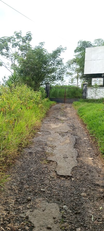 The image displays a ground-level view of a rugged, unpaved path leading towards a closed gate in a rural or semi-rural environment. The path itself is composed of gravel, dirt, and damaged concrete sections, exhibiting numerous potholes and an uneven surface. Dense, verdant green grass and various wild plants and bushes line both sides of the path, creating a natural border.
At the path's end, a dark metal gate is closed between two substantial gateposts, which are constructed from concrete or stone with a dark, possibly tiled, finish. To the right of the gate, a low concrete wall holds a white rectangular sign. Text visible on the sign includes phrases such as "TAMAN MIL. 06..." and "PENDIDIKAN PROVINSI JAWA BARAT". Behind this wall, a large, light-colored building or structure is partially visible, along with more trees.
The background reveals additional trees and a bright, overcast sky, across which a thin, dark line, likely a utility cable, stretches. No individuals or animals are present in the scene. The image portrays a quiet, daytime setting, possibly under cloudy conditions, with the worn path and closed gate suggesting an entrance to a property that may be infrequently used or maintained.