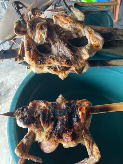 The image shows two grilled chickens skewered on bamboo sticks. The chickens are positioned one above the other, with the top chicken appearing to be larger and more whole, while the bottom chicken is smaller and appears to have been prepared more thoroughly. Both chickens exhibit charring and browning from the grilling process. They are displayed against a backdrop of a teal-colored basin or bowl. The environment appears to be outdoors, with hints of a light-colored, possibly concrete or sandy ground in the background, and some blurry greenery and wooden structures also visible. The overall scene suggests a food preparation or serving setting, likely in a casual outdoor environment in Sengkol, Indonesia.