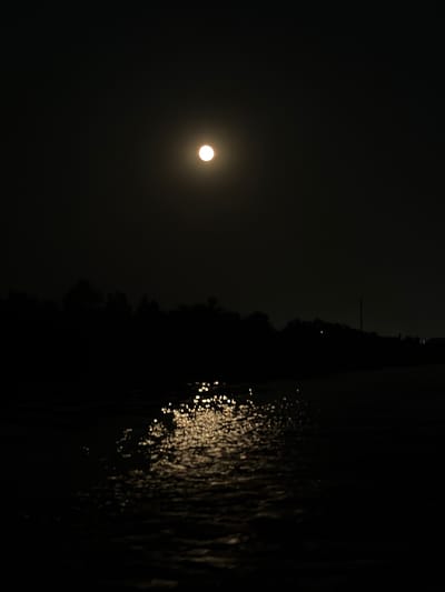 A full moon hangs in the dark sky above a silhouetted treeline. The moonlight reflects in shimmering patterns on the surface of a body of water. The scene is dark and tranquil.