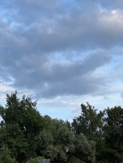 The image depicts a landscape scene in Soloslovo, Russia, dominated by a cloudy sky and a line of trees. The sky is filled with a mix of light and dark grey clouds, with patches of pale blue visible. The clouds appear dense and textured, suggesting either an overcast day or impending weather changes. Below the sky, a dense canopy of trees forms a dark green band across the lower portion of the frame. The foliage is lush and varied, with different shades of green indicating a mix of tree types. The tops of the trees are jagged and uneven, creating an organic silhouette against the sky. No people or specific structures are clearly identifiable within the frame, creating a naturalistic and somewhat somber atmosphere. The overall impression is one of a rural or suburban setting, possibly at dusk or on a cloudy afternoon.