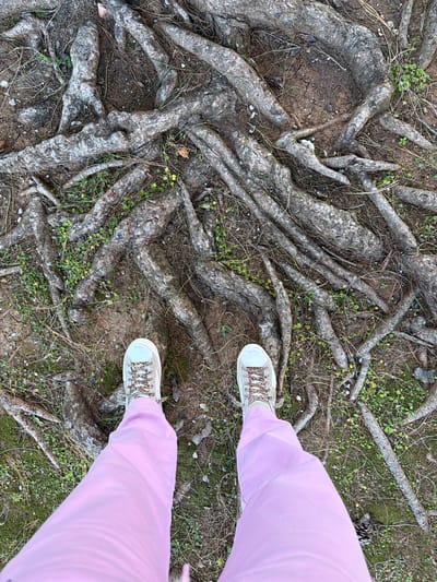 A ground-level, full shot depicts a person standing amid exposed tree roots in what appears to be a natural setting. The person wears pale pink sweatpants and off-white sneakers with patterned laces. The tree roots are gray and gnarled, spanning a large area of dry earth mixed with sparse greenery. A few pine needles and a pinecone are also visible in the scene. The location, Grad Opatija, Croatia, is not apparent from the visual information provided.