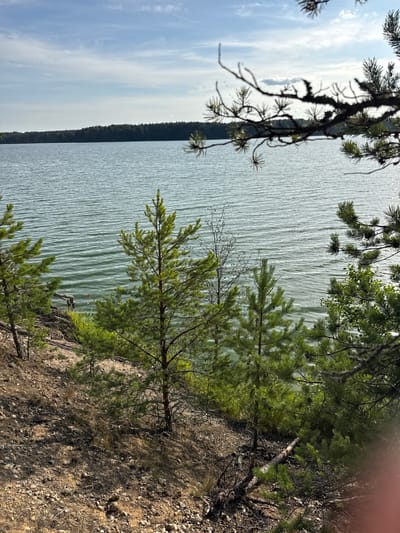 The image depicts a natural landscape near Priladozhskoe, Russia. In the foreground, a sandy and rocky slope is covered with sparse vegetation, including pine trees and dry grasses. The slope leads down to a body of water, likely Lake Ladoga, characterized by its calm surface with visible ripples and a slight shimmer from sunlight. Across the water, a dense forest lines the horizon, suggesting a vast wooded area. The sky above is partly cloudy with patches of blue, indicating fair weather. The overall scene conveys a sense of tranquility and the natural beauty of the region.