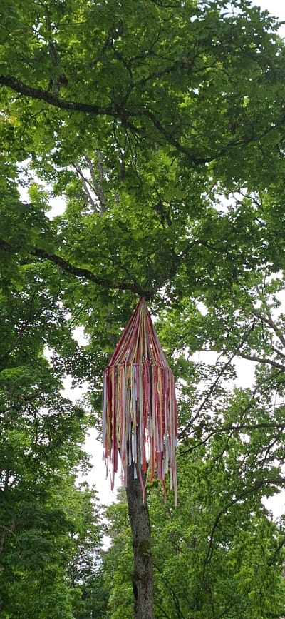 A suspended decorative hanging made of colorful ribbons is seen hanging from a tree branch in Viljandi, Estonia. The hanging is cone-shaped, tapering to a point, and is composed of numerous strips of fabric in shades of pink, red, yellow, and white. The ribbons appear to be made of a lightweight material and are dangling freely. The tree itself is large and leafy, with prominent branches and lush green foliage characteristic of summer in Estonia. The background consists of more trees and a bright, overcast sky. The overall scene suggests an outdoor setting, possibly a park or garden, decorated for an event or celebration. There are no people or animals visible in the image.