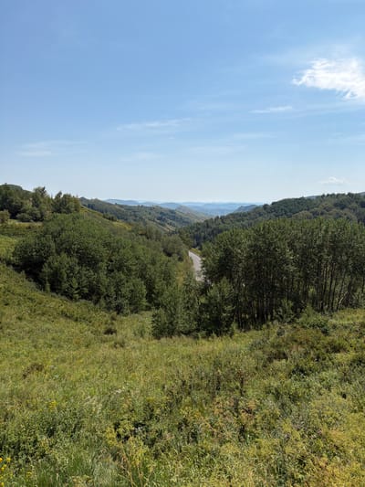 The image depicts a scenic, hilly landscape with lush green vegetation under a clear blue sky. In the foreground, a dense field of tall grass and wildflowers stretches across the lower portion of the frame. Further back, rolling hills covered with various types of trees dominate the scene. A winding road can be seen disappearing into the distance through a break in the trees, suggesting a rural or mountainous area. The distant hills fade into a hazy blue, indicating a vast expanse of terrain. The overall impression is one of natural beauty and tranquility, possibly a park or a remote countryside location. The image has no visible people or man-made structures beyond the road. It is not possible to identify the specific location within Osinovka, Kazakhstan based on the visual information provided.