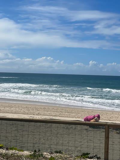A person is sleeping on a beach with a pink blanket and a straw hat. The person is lying on their stomach facing away from the camera. The beach is sandy and there are waves crashing in the ocean. The sky is blue with white clouds. The image was taken at Surfers Paradise Beach in the Gold Coast, Australia.