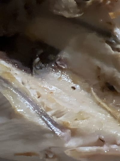The image shows a close-up view of cooked fish, likely from a meal. The flesh is white and flaky, with some visible bones and cartilage. There are some darker, possibly burnt or charred, areas on the surface. The lighting suggests an indoor setting, possibly a kitchen or dining area. There is no indication of the location in Буран Снт, Russia.