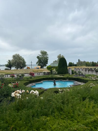 The image depicts the Rose Garden in Kreuzlingen, Switzerland, on a cloudy day. In the foreground, a neatly trimmed hedge encloses a star-shaped fountain filled with bright blue water. A small statue of a cherub is visible in the center of the fountain, with water spouting from its hands. Several rose bushes with white and red blooms are scattered around the fountain, nestled within the manicured hedges.

Beyond the rose garden, a stone wall with decorative crenellations runs horizontally across the mid-ground. To the left of the wall, a large, conical evergreen tree stands prominently, with a domed structure and a tall, slender tree behind it. To the right of the wall, more trees and dry grass are visible, suggesting a more natural landscape.

In the background, a body of water, likely Lake Constance, stretches across the horizon. On the far shore, several trees and what appears to be a small building or structure can be seen. A sailboat with yellow and brown sails is anchored near the shore. The sky is overcast with a uniform layer of grey clouds. There are no people clearly visible in the image.