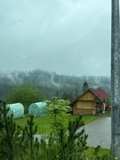 The image depicts a misty, rural scene in Bukowina Tatrzańska, Poland. A wooden cabin with a red roof stands on the edge of a dense, fog-shrouded forest. A paved path leads to the cabin. In the foreground are two small greenhouses, partially covered in translucent material. Pine trees and other vegetation frame the scene. A metal bar is at the top of the image. The weather appears overcast and wet.