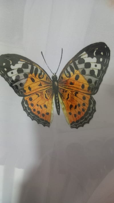This media file is a close-up photograph of a printed butterfly. The butterfly is depicted with its wings spread open and is centered in the frame. The wings are predominantly orange with black spots and black and white patterns along the edges. The body of the butterfly is black. The background is a plain white or very light-colored fabric, possibly silk or a similar material, which appears to be textured with a fine weave. The lighting is soft, and there are no shadows that would indicate a specific time of day or outdoor environment. The image is a still photograph with no activity taking place. There is no visible text in the image. The context provided suggests the photograph was taken in Mailuu-Suu City, Kyrgyzstan, but this information is not visually evident from the image itself.
