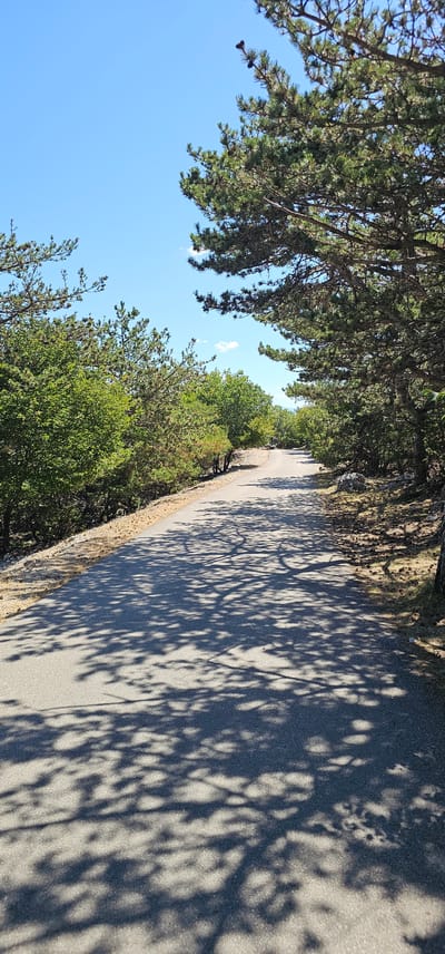 The image depicts a paved road winding through a wooded area. The road is partially covered in dappled shadows cast by the trees overhead, suggesting a sunny day. Lush green foliage lines both sides of the road, with a mix of deciduous and coniferous trees visible. In the distance, the road continues to curve, disappearing into the greenery. The sky above is clear and blue with a few wispy clouds. The scene appears to be a natural landscape, likely a rural or park setting. Based on the provided context, this location is in Općina Nerežišća, Croatia. There are no people or specific actions captured in the image, just a serene view of a road amidst nature.