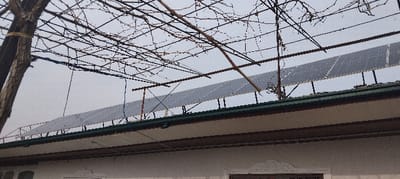 Solar panels line the edge of a building's roof under a trellis of bare branches. The building has a white exterior with a brown trim line along the top. The panels are dark with grid lines visible on their surfaces. Vertical supports hold the panels in place. Overhead, a network of crisscrossing branches obscures the sky. A tree trunk is visible on the left side of the frame. The overall lighting is muted, suggesting an overcast day.