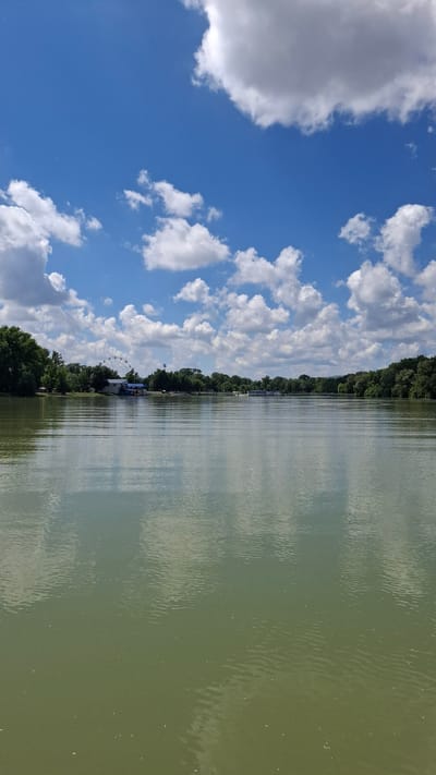 The image shows a wide, calm body of water reflecting the blue sky and white, fluffy clouds. On the far bank, a line of lush green trees forms the horizon. In the distance, a Ferris wheel is visible, along with several buildings and structures. The water itself appears calm, with subtle ripples on its surface. The scene suggests a tranquil day by the water, possibly a lake or a wide river.