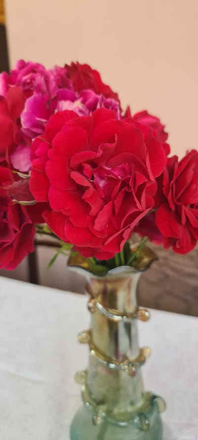 This media file is a close-up, vertical shot of a bouquet of red roses in a vase. The roses are the primary subject, with their vibrant red petals filling the left side of the frame. Some of the roses are in full bloom, showing intricate layers of petals, while others appear to be buds or less open. There are also hints of pinkish-red roses in the background.
The roses are placed in a decorative glass vase, which is partially visible on the right side of the image. The vase has a unique design with golden, wavy accents and a greenish hue towards its opening. The vase appears to be made of blown glass, with slight imperfections and a somewhat whimsical shape.
The background is softly blurred. To the left of the roses is a plain, light-colored surface, possibly a wall or backdrop, with a warm, peach-like tone. To the right of the vase, a white surface is visible, which could be a tablecloth or another piece of furniture. The lighting suggests it's daytime, likely indoors, as there are no strong shadows and the overall illumination is soft and even.
There are no people, text, or specific environmental cues that indicate the exact location, beyond the provided context of Shaki, Azerbaijan. The overall mood of the image is one of simple beauty and domestic elegance, highlighting the natural appeal of the flowers.