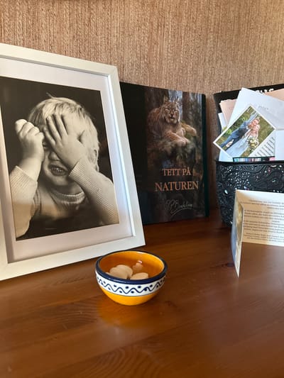 The image shows a collection of items on a wooden surface, likely a desk or shelf. In the foreground, to the left, is a framed black and white photograph of a young child covering their eyes with their hands. To the right of the photograph is a small, decorative orange and blue bowl containing several small white objects, possibly candies or stones.

Behind the framed photograph, there is a large book with a picture of a lynx on the cover, titled "TETT PÅ NATUREN" by "JP. Brakberg". To the right of this book, there is a black decorative container holding several envelopes and a small, diamond-shaped photograph of a wedding couple. Partially visible on the right side of the image is a folded card with text in German.

The background consists of a textured wall with a horizontal ribbed pattern. The scene is well-lit, with warm tones emanating from the wooden surface and the overall lighting.

The image does not contain any explicit information about its location in Kongsberg, Norway. Therefore, no details about the city can be provided.