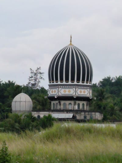 The image depicts a mosque in Seuneubok, Indonesia, under an overcast sky. The main structure is a large mosque with a prominent black and white striped dome, topped with a golden finial. This dome is flanked by a smaller, plain white dome to its left. The mosque features architectural details such as arched windows and decorative elements around the base of the main dome. Surrounding the mosque is lush greenery, including palm trees and tall grass in the foreground, suggesting a tropical or semi-tropical environment. The overall scene conveys a sense of tranquility.