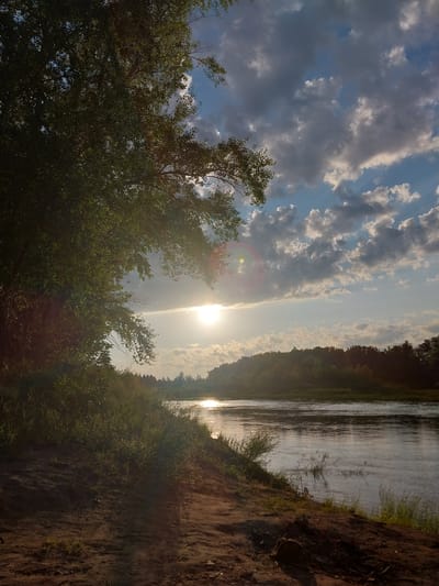 An image captures a serene natural landscape bathed in the warm glow of the setting sun. The scene unfolds along the banks of a tranquil river, its surface reflecting the golden hues of the sky. Lush green foliage drapes over the embankment on the left, with trees reaching towards the heavens. The sky above is a canvas of dramatic clouds, their undersides tinged with grey, contrasting with the soft blue expanse that peeks through. The sun, a radiant orb, is partially obscured by a thin veil of clouds, casting a gentle light that diffuses across the horizon. The foreground is a rough, sandy terrain, hinting at a path leading down to the water's edge. The overall impression is one of peaceful solitude, a moment suspended in time amidst the raw beauty of nature. This scene could be located along the Volga River near the city of Chkalov, Russia, a region known for its picturesque riverine landscapes.