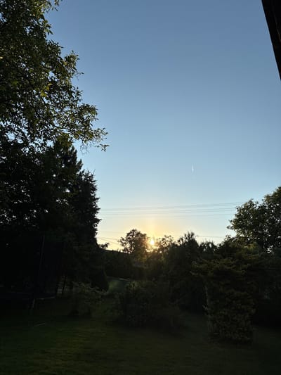 This is a landscape photograph taken outdoors. The image shows a clear blue sky on the left, transitioning to a hazy, golden sky on the right where the sun is setting. Silhouetted trees with dense foliage line the right side of the frame, partially obscuring the sun. Several power lines are visible horizontally across the upper right portion of the image. The lower part of the image features more trees and a dark area that appears to be a trampoline. The scene is likely a backyard or garden. The time of day is sunset, indicated by the warm light and the low angle of the sun. The weather appears to be clear and calm. There is no visible text in the image.
