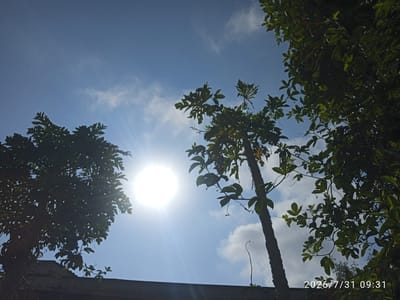 This image captures a bright, sunny day in Embakasi, Kenya, with the sun prominently featured in the upper left quadrant. The sky is a clear blue with scattered white clouds. Silhouetted against the sky are the leafy branches of two trees. One tree, on the left, is larger and more dense with foliage. The other, to the right, is a tall, slender plant with large, distinct leaves and visible tendrils. In the foreground, a dark, horizontal structure, possibly a rooftop or wall, runs across the bottom of the image. The timestamp "2026/7/31 09:31" is visible in the lower right corner. No people are present in the scene.