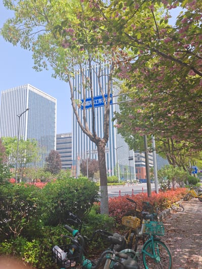 The image depicts a street scene in Jianye District, China, marked by the street sign for "嘉陵江东街" (Jialing Jiangdong Street). Two tall, modern skyscrapers with vertical white and blue stripes dominate the background. The foreground features a sidewalk lined with trees in bloom, some with pink blossoms, and lush green and reddish shrubs. A row of parked shared bicycles, primarily in shades of green and yellow, are scattered along the sidewalk. The street itself is visible in the middle ground, with red and white barriers lining the road. The sky is clear and blue. The scene is captured in daylight.