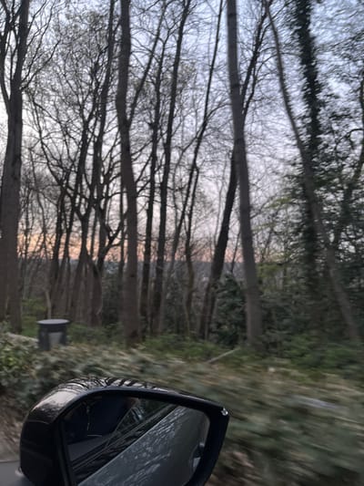 The image captures a perspective from a vehicle in motion through a wooded area in Gif-sur-Yvette, France, likely during dusk or dawn. The foreground on the left features a black exterior side mirror of a vehicle, reflecting a portion of the vehicle's light grey/silver body and an occupant inside wearing a dark blue garment with a visible zipper. Significant motion blur is present in the lower right and mid-ground foliage, indicating rapid movement.
The scene beyond the vehicle consists of a dense forest or wooded hillside. Numerous tall, slender deciduous trees with bare branches dominate the view, suggesting late autumn, winter, or early spring. Interspersed among them are some evergreen trees, particularly on the far right and as ground cover. Beneath the trees, the ground is covered with thick green undergrowth, appearing as dense foliage.
Towards the mid-left, partially obscured by the side mirror and foliage, a dark grey cylindrical trash receptacle with a lid is visible among the trees. The sky, seen through the tree canopy, exhibits a light grey-blue hue at the top, transitioning to soft pink and orange tones near the horizon, indicative of a low sun angle. No individuals are explicitly visible outside the vehicle in the main scene.