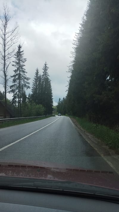 The image captures a view from inside a vehicle traveling along a paved road. The road is lined with dense evergreen trees on the left and a grassy verge on the right. The sky is overcast with a diffused light, suggesting it is daytime. The road surface appears wet, indicating recent rain or damp conditions. The perspective is from the passenger side, showing a portion of the car's interior, including the window and part of the dashboard or interior trim.
In the distance, a dark-colored car is visible on the road, traveling in the same direction. Further down the road, there are hints of buildings nestled amongst the trees. The trees are tall and dark green, creating a natural tunnel effect over the road. The overall scene evokes a sense of travel through a forested area, possibly a rural or mountainous region. The muted light and wet road contribute to a somewhat somber or tranquil atmosphere. No people are clearly visible, and no text is discernible. The location context provided is Yablunytsia, Ukraine.