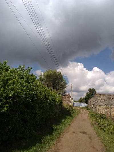 The image depicts a rural or semi-urban scene within Njoro ward, Kenya, on an overcast day with patches of blue sky. A narrow, unpaved dirt path recedes into the distance, flanked by dense green foliage on the left and scattered grass and scrub on the right.
Approximately nine thin, dark utility lines traverse the upper left portion of the sky, extending diagonally from left to right. A light-colored utility pole stands vertically on the right side of the path, beyond the immediate foreground.
On the left, a stone-built structure, possibly unfinished or partially collapsed, is visible behind a dense line of green bushes. Further along the path, a silver corrugated metal fence or wall is discernible. On the right, another stone-built structure, with exposed rough-hewn blocks, stands adjacent to the path. No individuals are present, and no actions or interactions are depicted. The overall environment suggests a transitional area between natural landscape and rudimentary development.