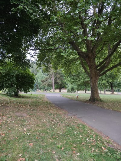 The image depicts a park setting in Waldbronn, Germany. A paved pathway curves through the scene, bordered by green grass and scattered fallen leaves. Large trees with dense green foliage dominate the landscape, with a particularly prominent tree in the foreground on the right. In the background, a variety of trees create a wooded backdrop, and a blue lamppost is visible. A small orange and white sign is placed on the grass near the pathway. The overall impression is that of a tranquil park on an overcast day.