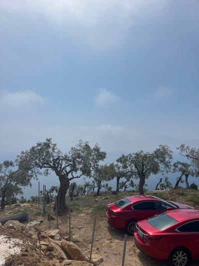 The scene shows a dirt road leading up to a small clearing on a hillside in Limenaria, Greece (latitude: 40.588, longitude: 24.676). Two red Mazda sedans are parked facing each other at a slight angle. The ground is dusty and there are several olive trees growing on the hillside, with the sea visible beyond. The sky is clear blue with white clouds. The hillside is bare and rocky, with small shrubs and trees growing sparsely. The road is dusty and uneven, with a few small rocks and stones visible. There is a fence made of small wooden posts and wire running along the hillside. The top of the fence is visible in the image.