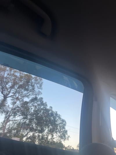 The image depicts a daytime scene from within a vehicle in Bull Creek, Australia. The view is directed outwards through a passenger-side window, framed by the vehicle's dark grey interior ceiling, a grey overhead grab handle in the upper left, and a dark grey interior door frame on the right. A translucent wind deflector is visible along the top edge of the window. Outside, multiple mature trees with visible trunks and dense green foliage dominate the landscape against a clear, pale blue sky. Faint horizontal lines, consistent with utility wires, are discernible in the distance through the trees. Bright sunlight is present, causing glare on the window and illuminating the vehicle's right-side interior. No individuals are visible, and no specific actions or interactions are recorded beyond the implied travel of the vehicle.