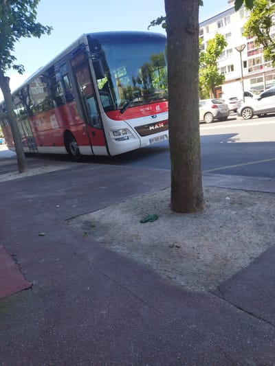 The image shows a red and white bus with "NOMAD" and "NORMANDIE" written on its side, parked on a street in Cherbourg-en-Cotentin, France. The bus has "MAN" written on the front. License plate reads "GY 825 AH". There are trees and buildings visible in the background. The weather appears sunny with a clear blue sky, suggesting it is daytime. The scene is an urban street with a sidewalk, a tree in the foreground, and cars parked on the other side of the street. The image is taken from a low angle, looking up towards the bus and the surrounding environment. No people are visible in the image.