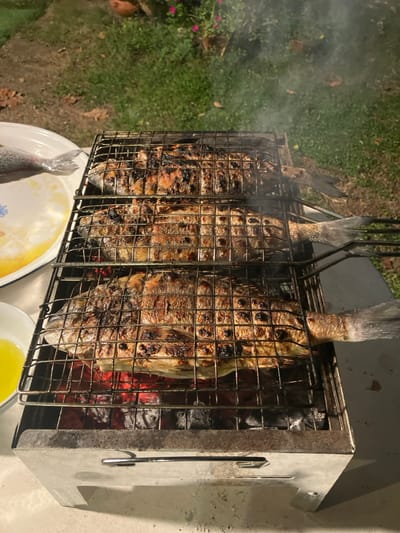 The image displays three whole fish actively grilling on a rectangular metal charcoal grill outdoors. Each fish is secured within an individual wire grill basket, exhibiting cooked surfaces, distinct grill marks, and areas of charring. Smoke emanates from the grill, beneath which glowing red charcoal embers are clearly visible. To the left of the grill, a white ceramic plate with a blue floral design contains a yellowish liquid and the tail section of a raw or partially prepared fish. A small white bowl, also containing a yellow liquid, is partially visible at the bottom left. The grill and surrounding objects rest on a light-colored, flat surface. The background consists of blurred green grass and foliage, including plants with faint pink flowers, indicating a garden or yard setting under artificial illumination, suggesting dusk or nighttime conditions. No specific location within the city of Brener Regional Council, Israel, is ascertainable from the visual information provided. No people are visible.