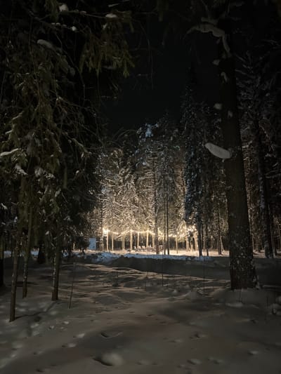 A nighttime scene captures a snow-covered forest, illuminated by strings of lights draped across trees. The snow-covered ground stretches to the right, with varying depths and textures. Trees of various sizes fill the frame, many laden with snow. The sky above is dark, contrasting with the soft glow of the lights. The image is oriented vertically.