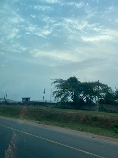 A roadside view captures a cloudy sky, a tree with green foliage, and a stretch of grass. A fence parallels the grass line, with occasional utility poles extending upwards. A small, rectangular structure is visible behind the fence. The road runs diagonally across the frame, marked with a yellow line.