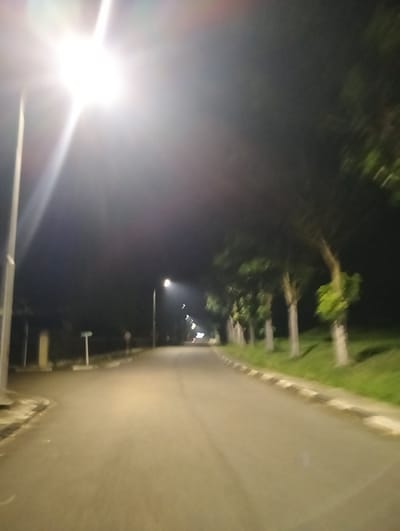 The media file depicts a nighttime scene of an empty road lined with trees and streetlights. The road appears to be paved and curves gently to the right. On the left side of the road, there are streetlights and some low-lying structures. On the right side, a line of trees with green foliage stands tall, with a grassy area beyond them. The overall lighting suggests it is nighttime, with the streetlights illuminating the road and surrounding environment. The atmosphere is quiet and deserted, conveying a sense of solitude or perhaps a peaceful evening. There are no visible people or vehicles, making the road appear unused at this moment. The location context provided is Palohgadeng, Indonesia, though this cannot be confirmed from the visual information alone. The weather appears clear, as there are no signs of rain or fog impacting visibility significantly, apart from some localized light diffusion around the streetlights. The bright streetlights create a stark contrast with the dark night sky, emphasizing the emptiness of the scene.