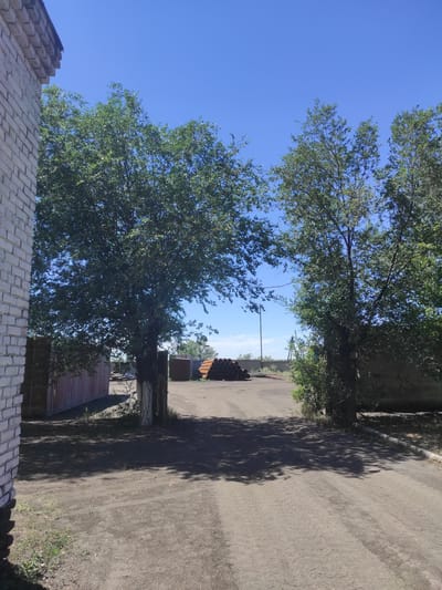 A photograph taken on a bright, sunny day shows a dirt road leading into an open area. To the left, a portion of a light-colored brick building is visible, with a corrugated metal structure next to it. Two large trees with lush green foliage frame the entrance to the open area. In the background, there are stacks of large cylindrical objects, likely pipes, and several other structures. The sky is a clear, deep blue.