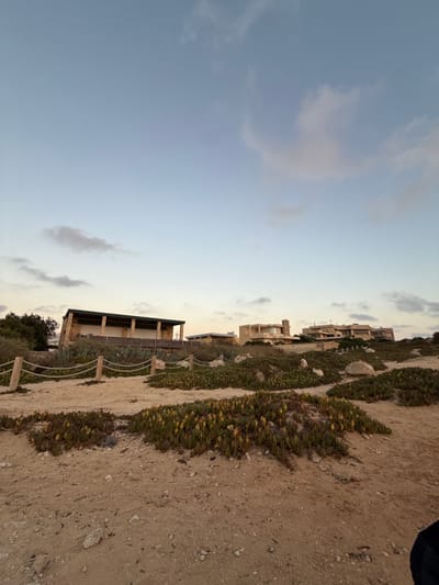 A seaside landscape under a partly cloudy sky shows buildings nestled among dense vegetation on a hillside. The ground is sandy and uneven, with small plants dotting the terrain. A fence made of posts and rope lines a path. The overall scene suggests a coastal area with houses built into the natural slope, blending architecture with the existing flora.