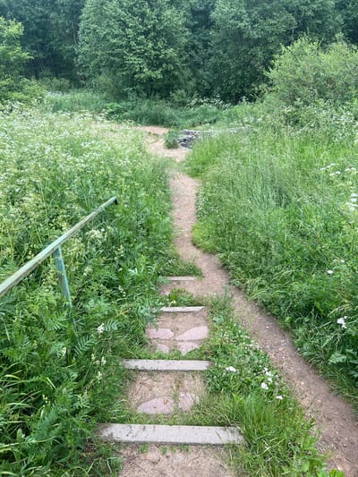 An outdoor scene depicts a dirt path winding through a grassy area with trees in the background. The path is partially lined with a green metal railing on the left. Several stone steps are embedded in the path. The vegetation is lush and green, with numerous small white wildflowers scattered throughout. The overall environment suggests a natural setting, possibly a park or a trail, with the trees indicating a forested area.